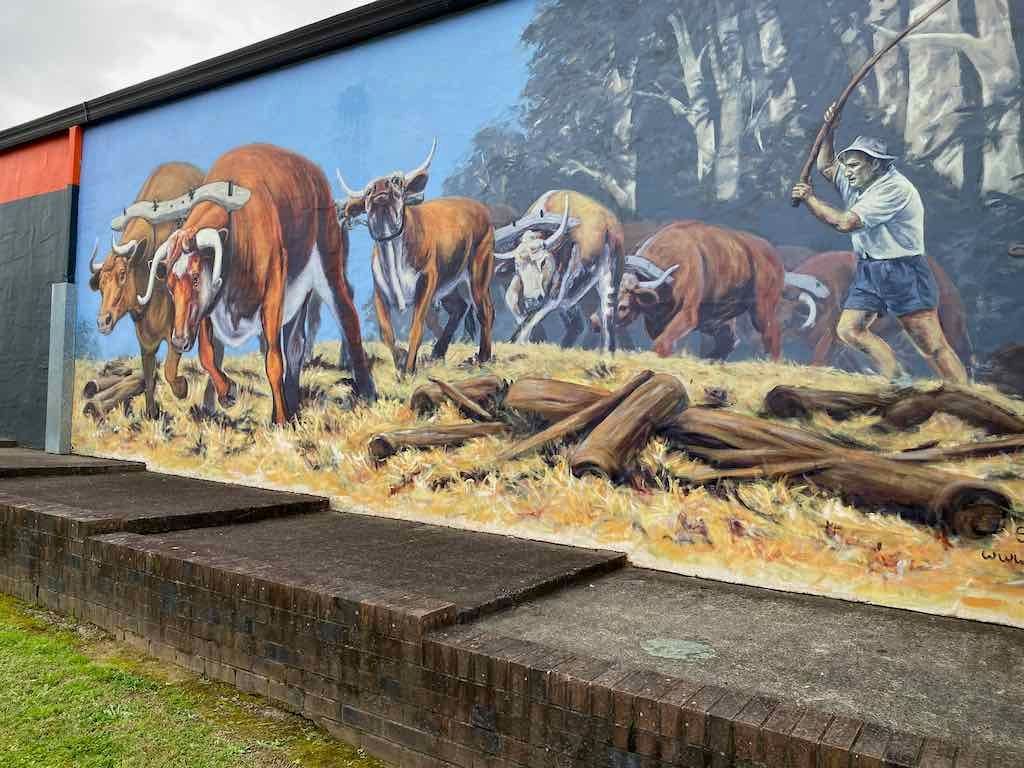Kincumber Probus Group - Kurri Murals & Morpeth Image -632fa174e76af